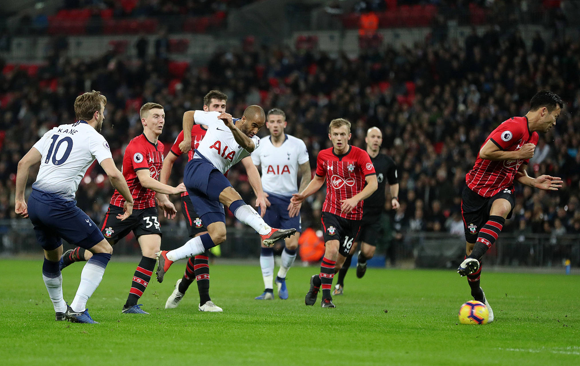 只能适应他 只能适应他